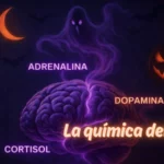 🎃 La química del miedo: cómo reacciona tu cuerpo ante el terror