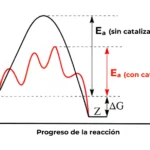 La Catálisis: El arte de acelerar lo imposible